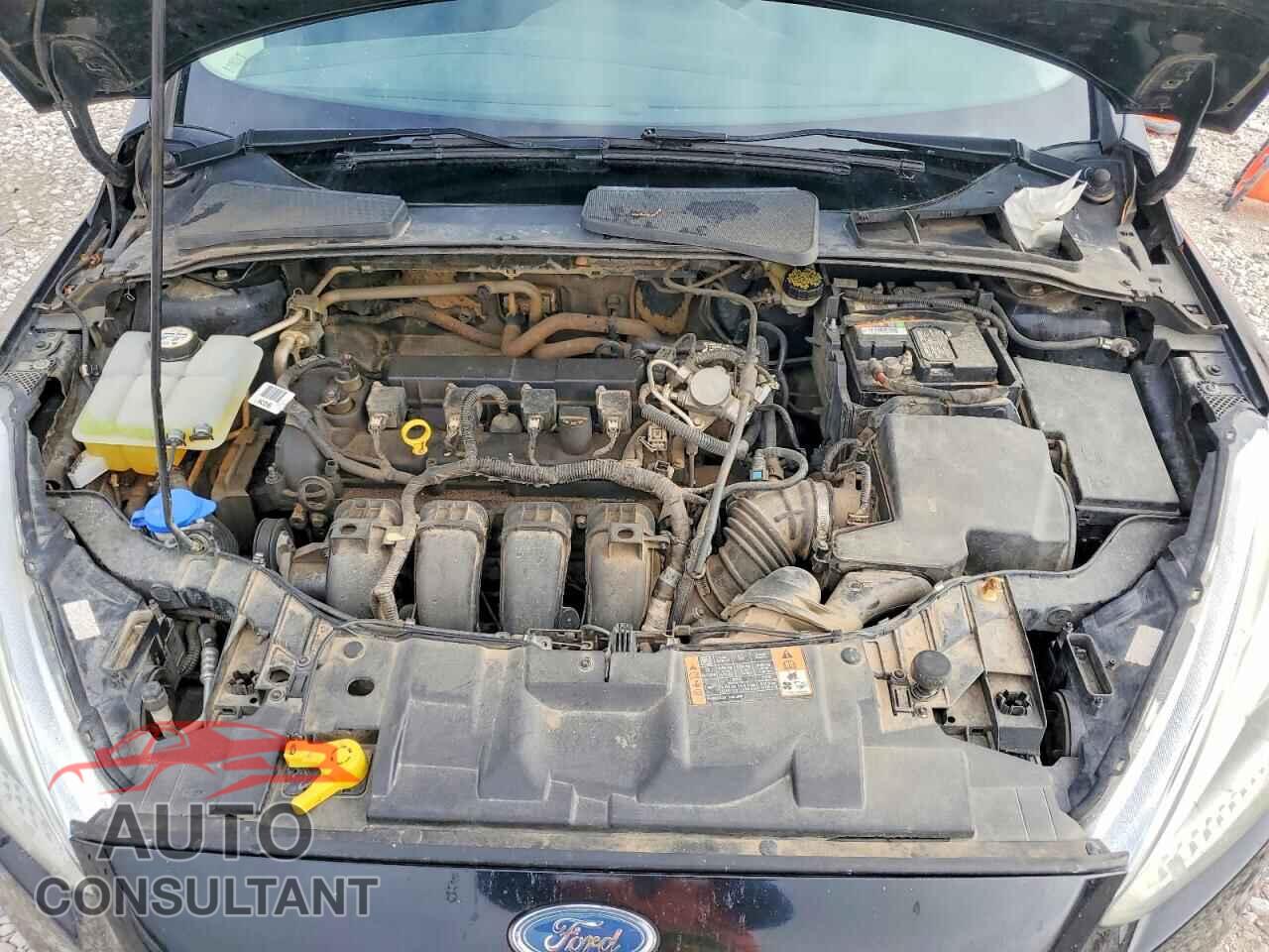 FORD FOCUS 2016 - 1FADP3E23GL328729