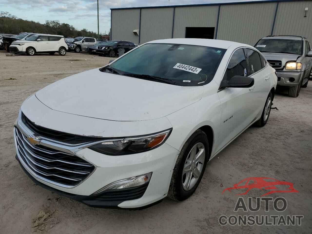 CHEVROLET MALIBU 2019 - 1G1ZB5ST7KF219181
