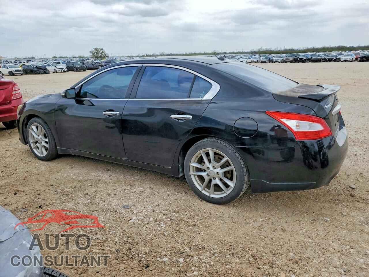 NISSAN MAXIMA 2011 - 1N4AA5AP4BC845323