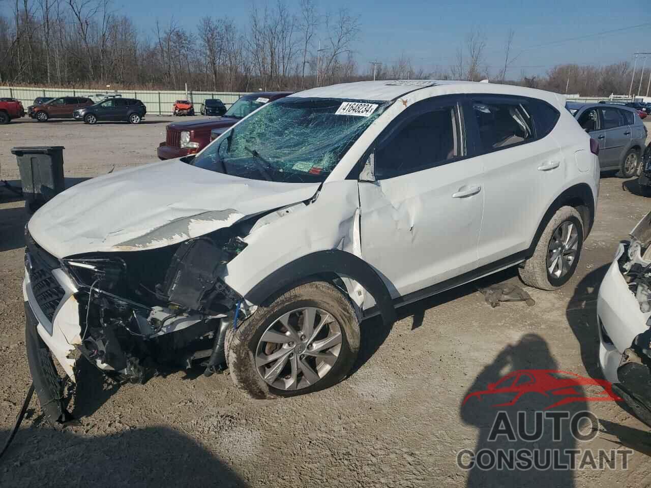 HYUNDAI TUCSON 2019 - KM8J2CA44KU045693