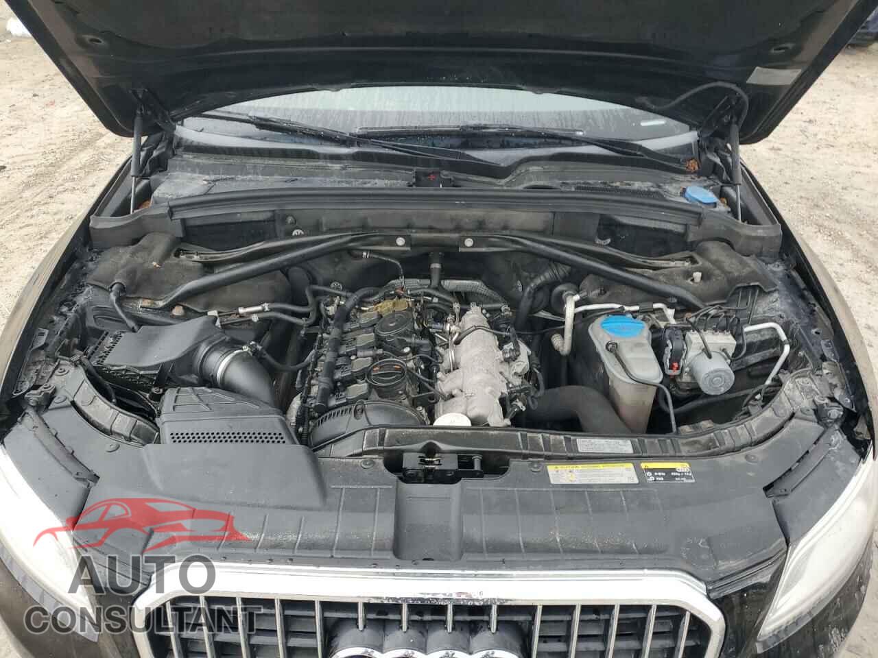 AUDI Q5 2013 - WA1CFAFP2DA094432