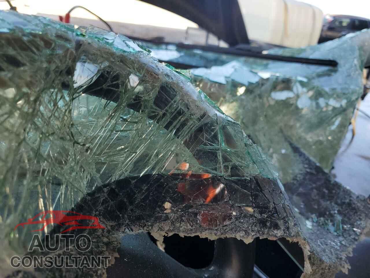 TESLA MODEL 3 2019 - 5YJ3E1EA5KF298099