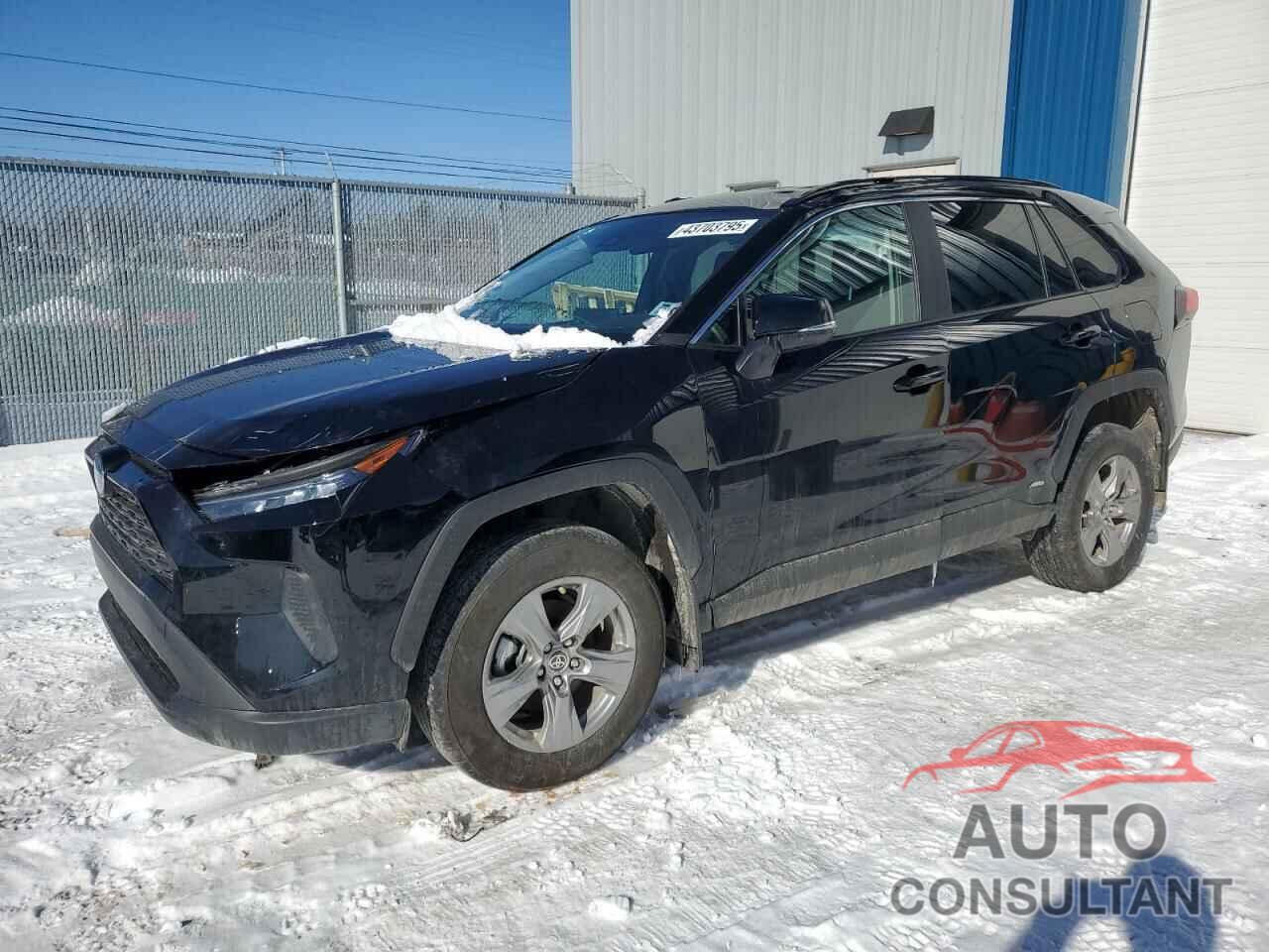 TOYOTA RAV4 2024 - 2T3BWRFV8RW243403