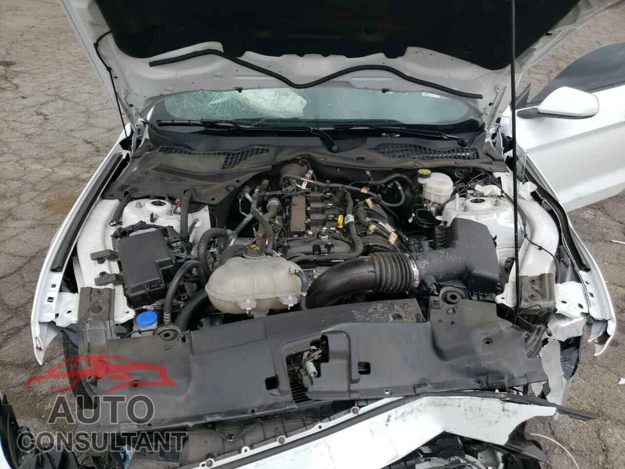 FORD MUSTANG 2021 - 1FA6P8TH8M5119399