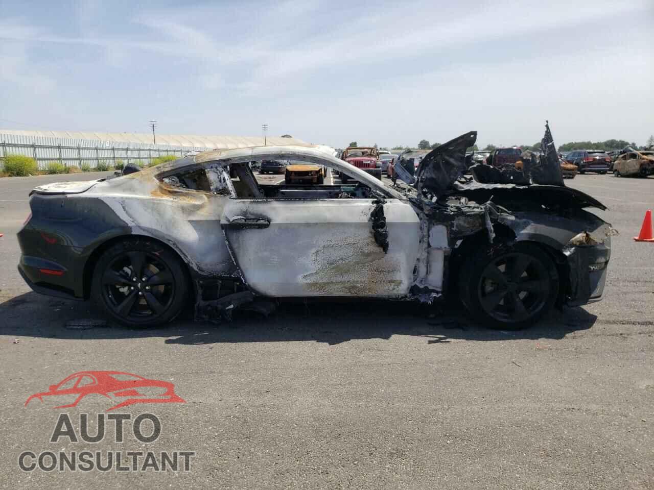 FORD MUSTANG 2021 - 1FA6P8TH8M5126093