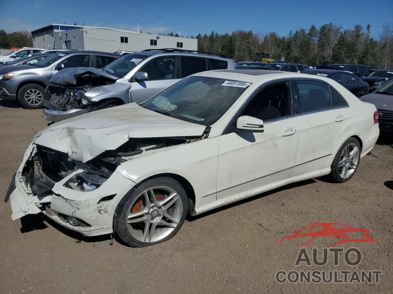 MERCEDES-BENZ E-CLASS 2010 - WDDHF8HB7AA061689
