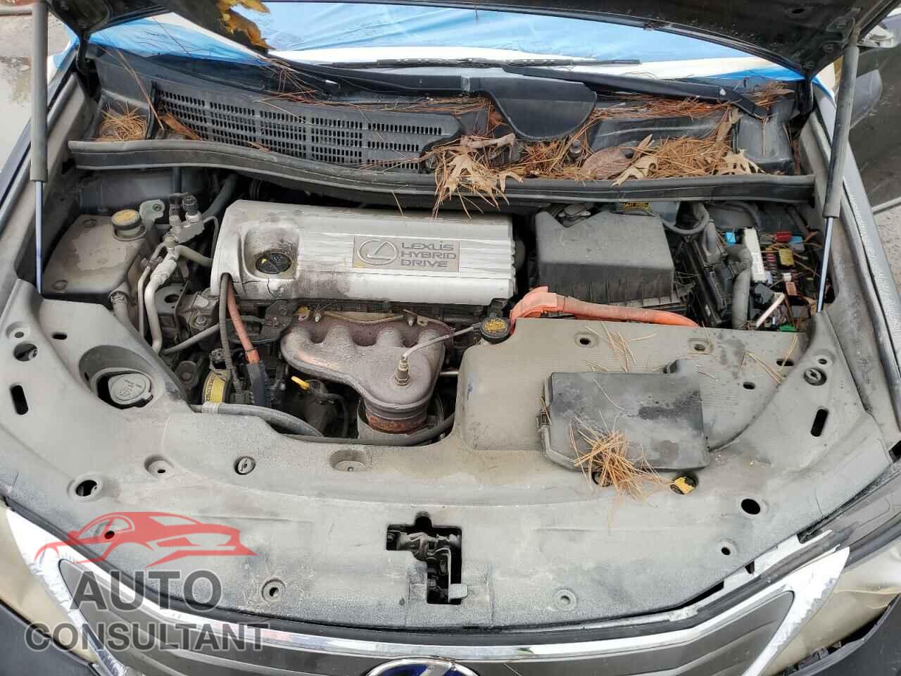 LEXUS HS 2010 - JTHBB1BA4A2021002