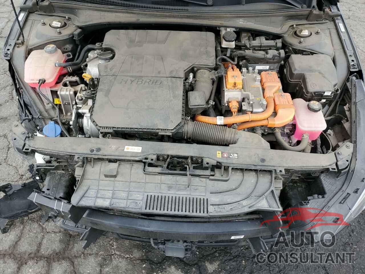 HYUNDAI ELANTRA 2022 - KMHLN4AJ5NU022584