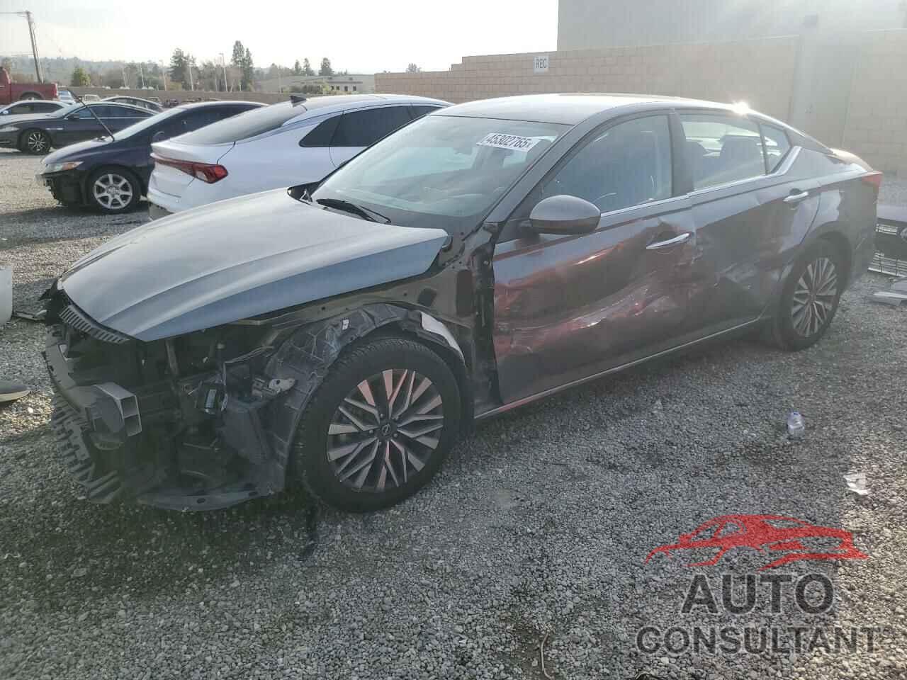 NISSAN ALTIMA 2023 - 1N4BL4DV4PN344480
