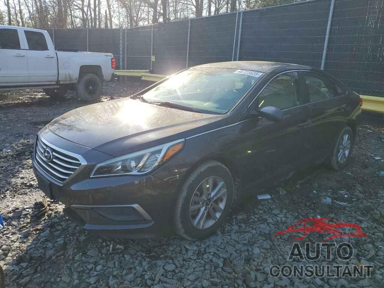 HYUNDAI SONATA 2016 - 5NPE24AF3GH318976