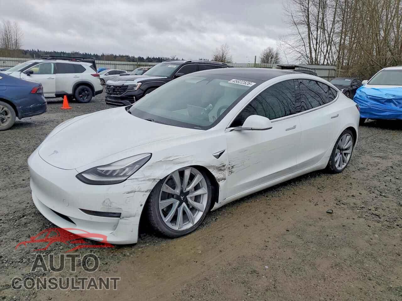 TESLA MODEL 3 2018 - 5YJ3E1EB2JF101140