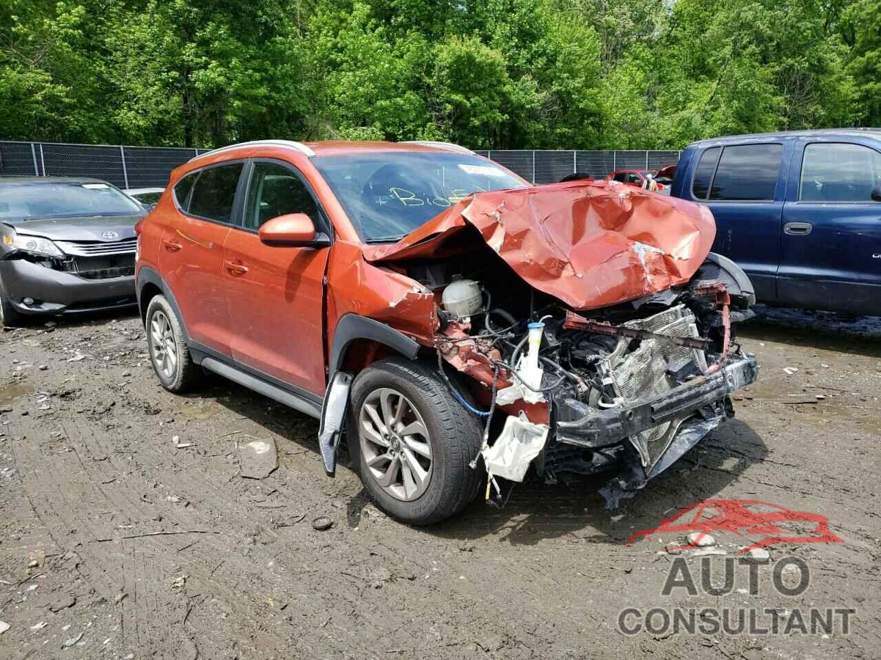 HYUNDAI TUCSON 2017 - KM8J33A44HU252459