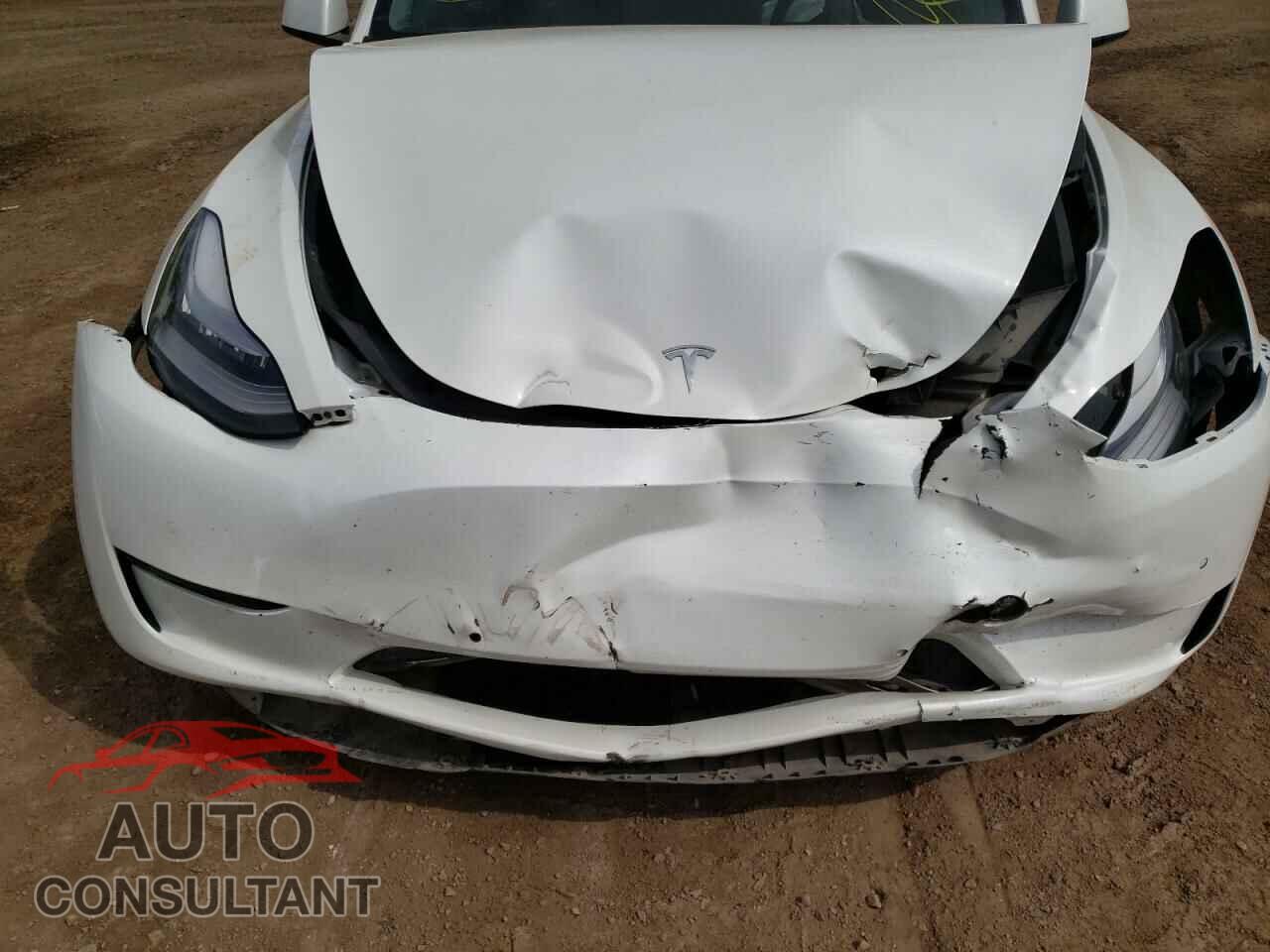TESLA MODEL Y 2021 - 5YJYGDEE4MF140019
