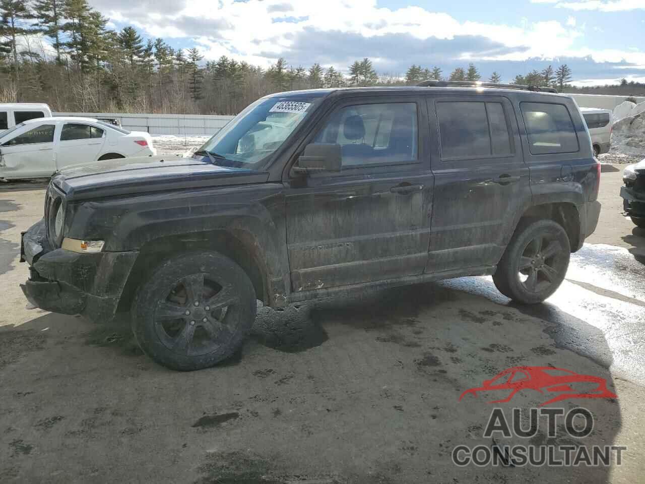 JEEP PATRIOT 2015 - 1C4NJRBB9FD312258