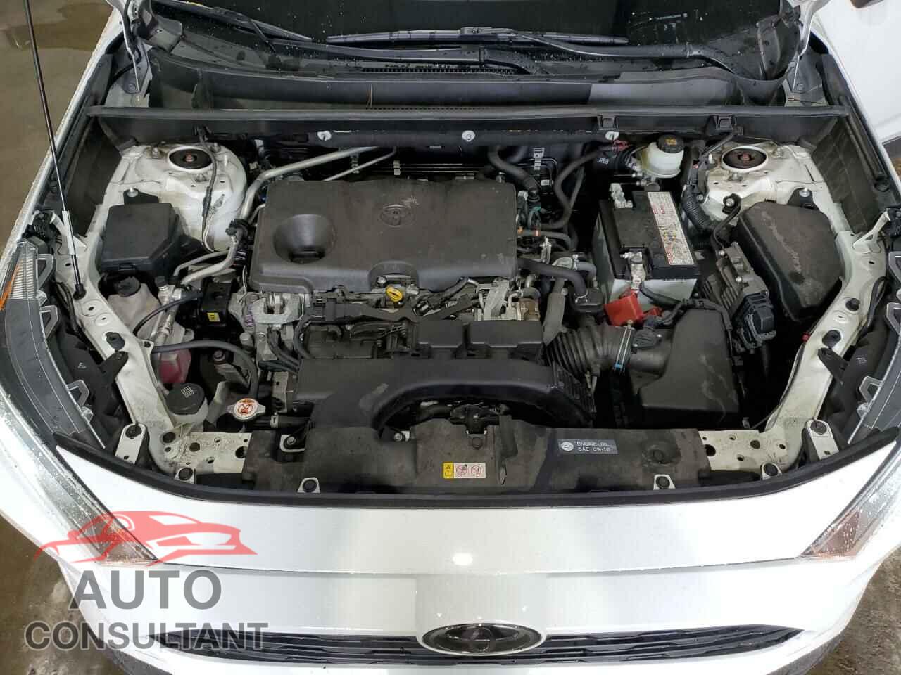 TOYOTA RAV4 2019 - JTMP1RFVXKD023154