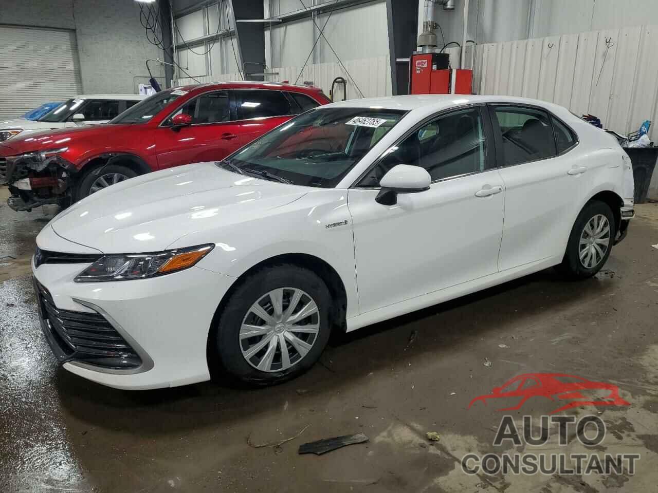 TOYOTA CAMRY 2021 - 4T1C31AK3MU569610