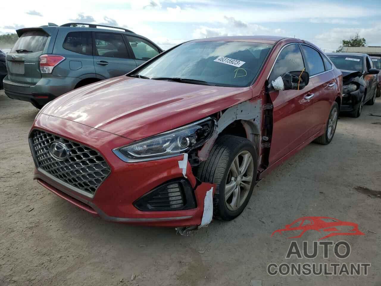 HYUNDAI SONATA 2019 - 5NPE34AF3KH742972