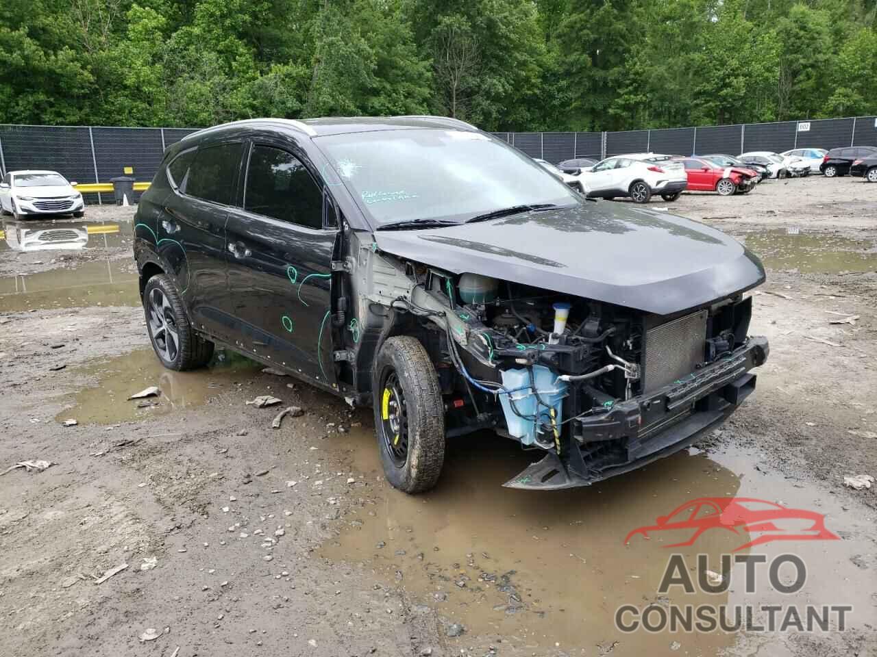HYUNDAI TUCSON 2016 - KM8J3CA29GU053386