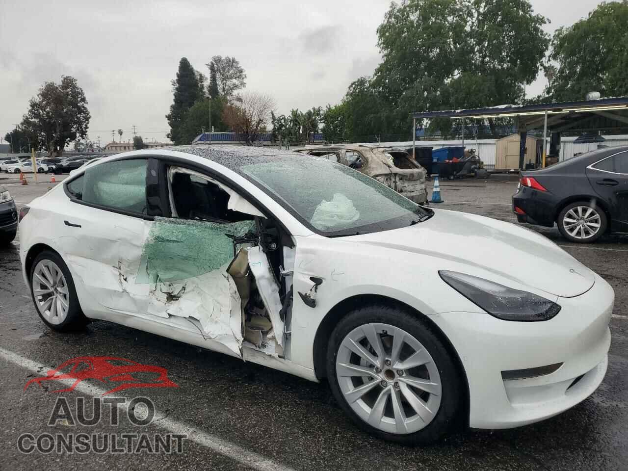 TESLA MODEL 3 2021 - 5YJ3E1EA5MF996201