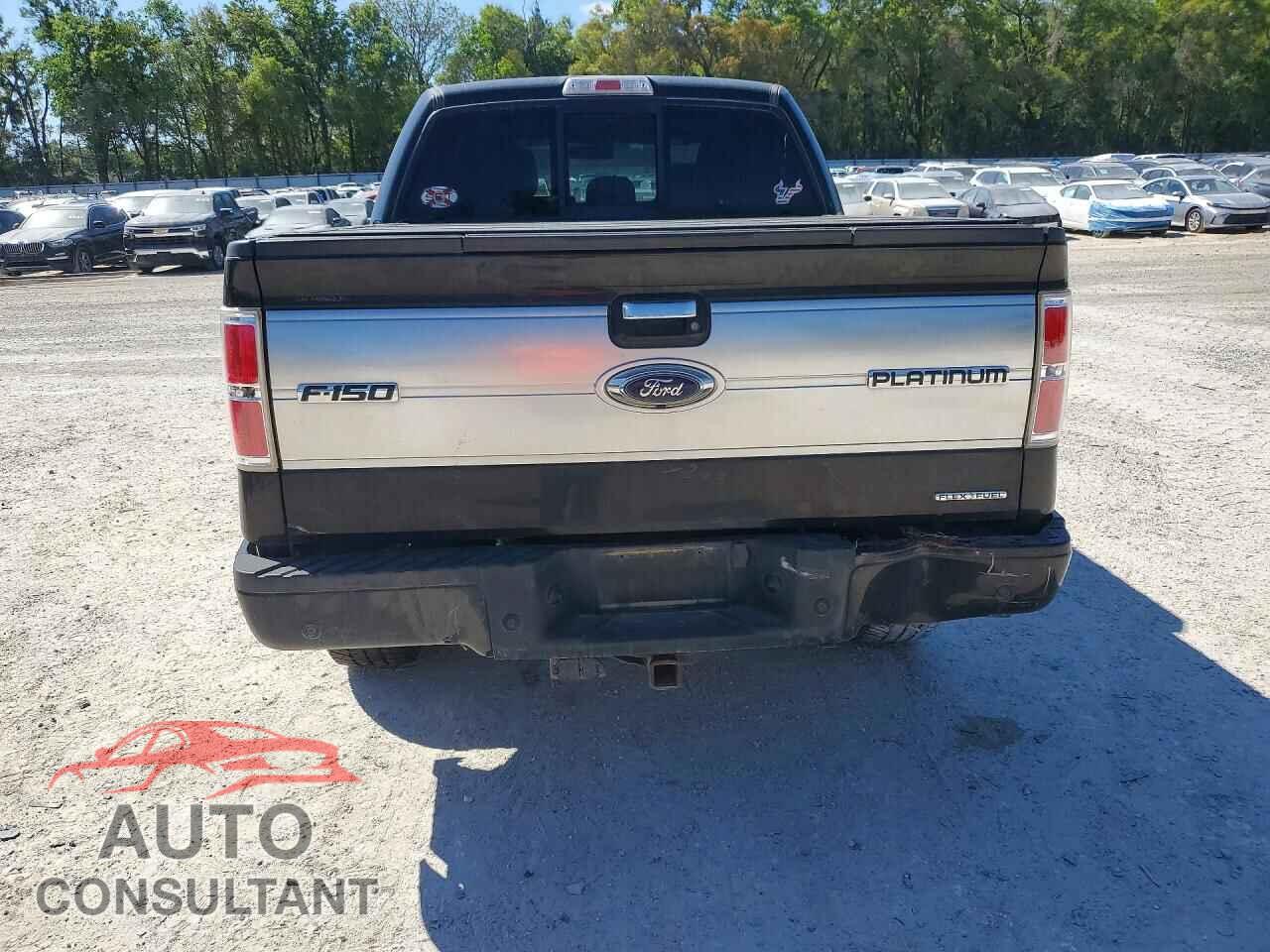 FORD F150 2013 - 1FTFW1CF0DFD00929