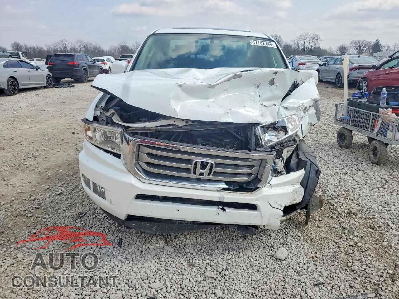HONDA RIDGELINE 2014 - 5FPYK1F56EB009873