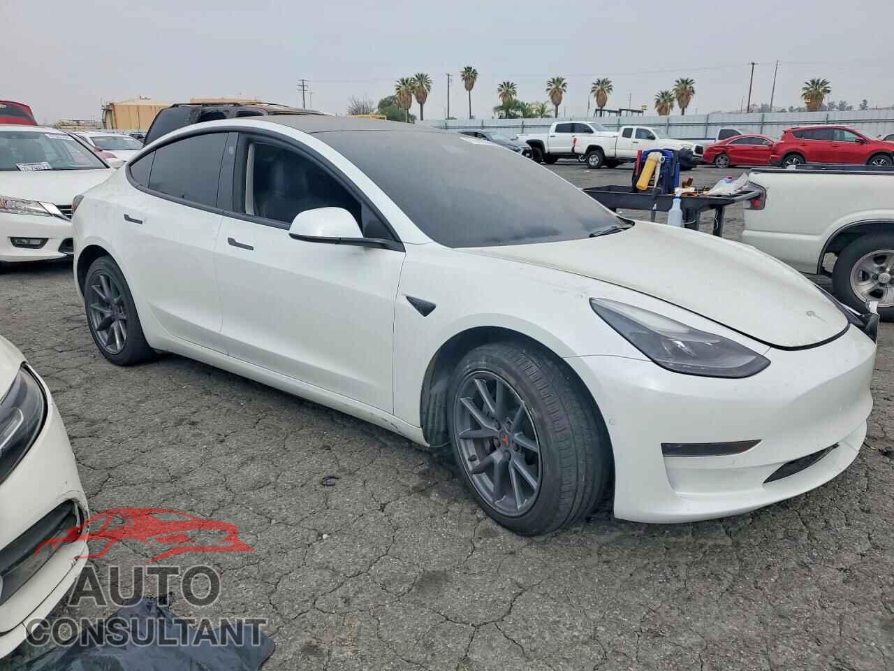 TESLA MODEL 3 2022 - 5YJ3E1EA6NF109819