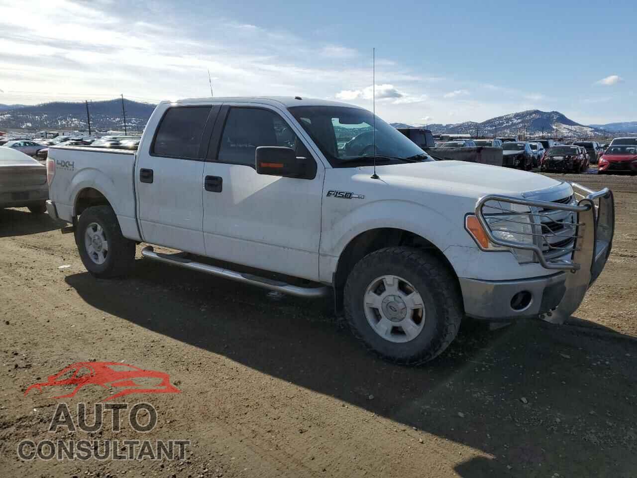 FORD F-150 2013 - 1FTFW1EF6DFD67967