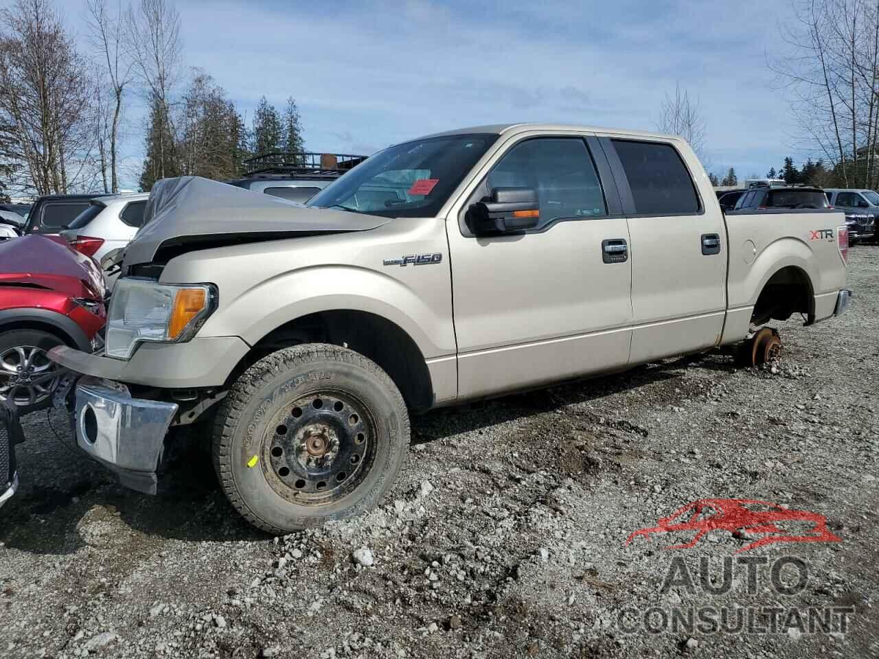 FORD F-150 2010 - 1FTFW1EV8AFD58884