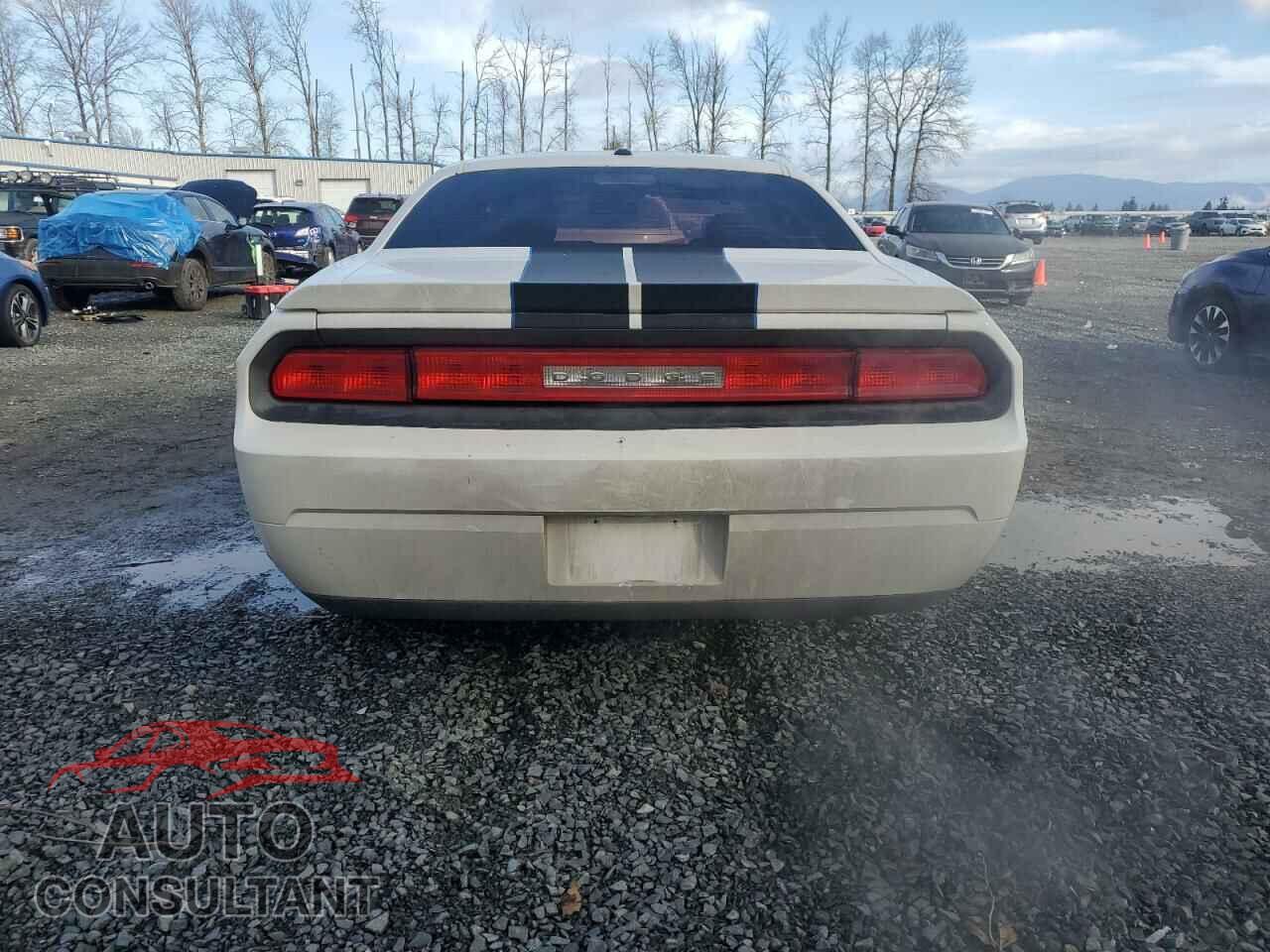 DODGE CHALLENGER 2010 - 2B3CJ4DV9AH104119