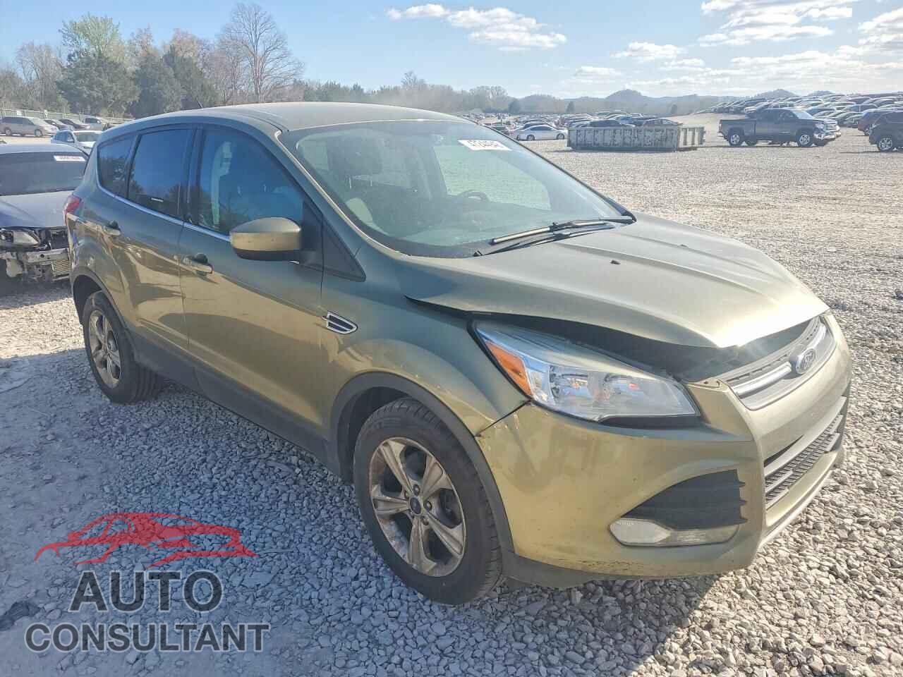 FORD ESCAPE 2013 - 1FMCU9G92DUA17855