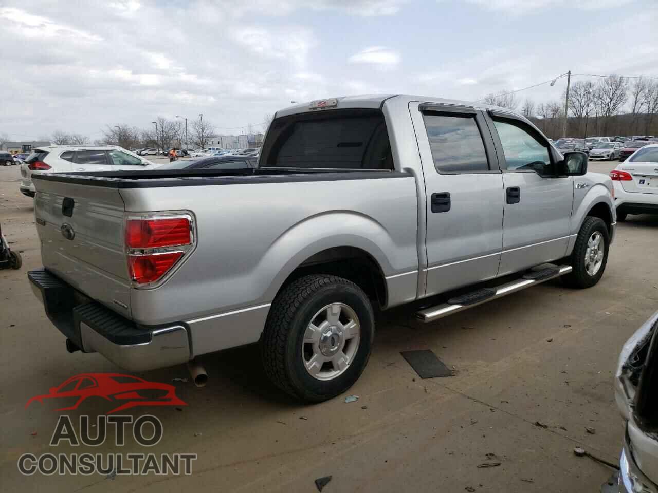 FORD F-150 2013 - 1FTEW1CM1DFD61569