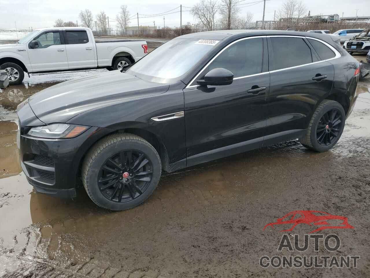 JAGUAR F-PACE 2020 - SADCK2FX4LA643669