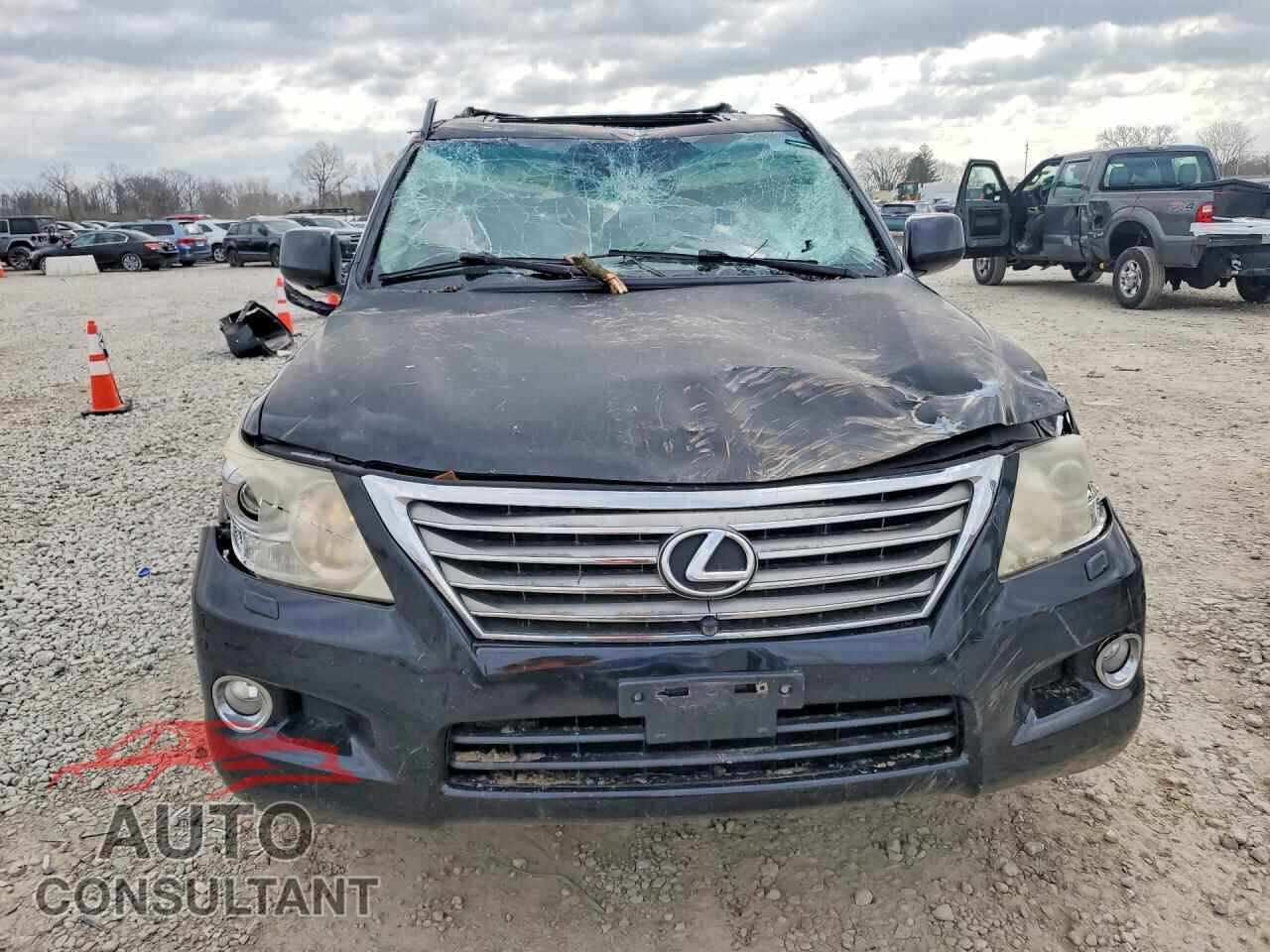 LEXUS UNKNOWN 2010 - JTJHY7AX3A4047076