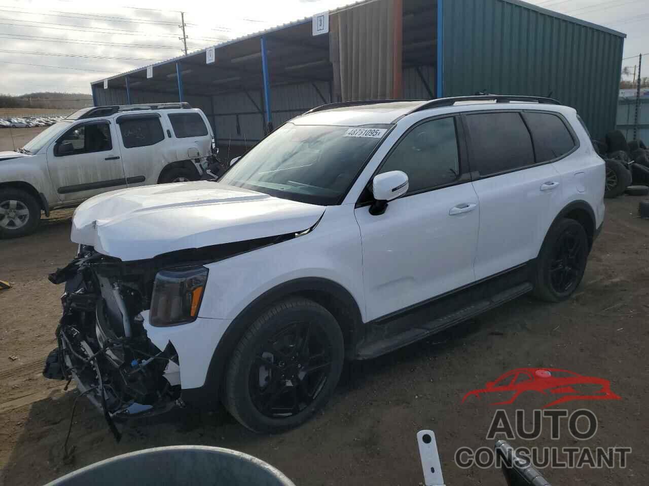 KIA TELLURIDE 2025 - 5XYP5DGC6SG594579