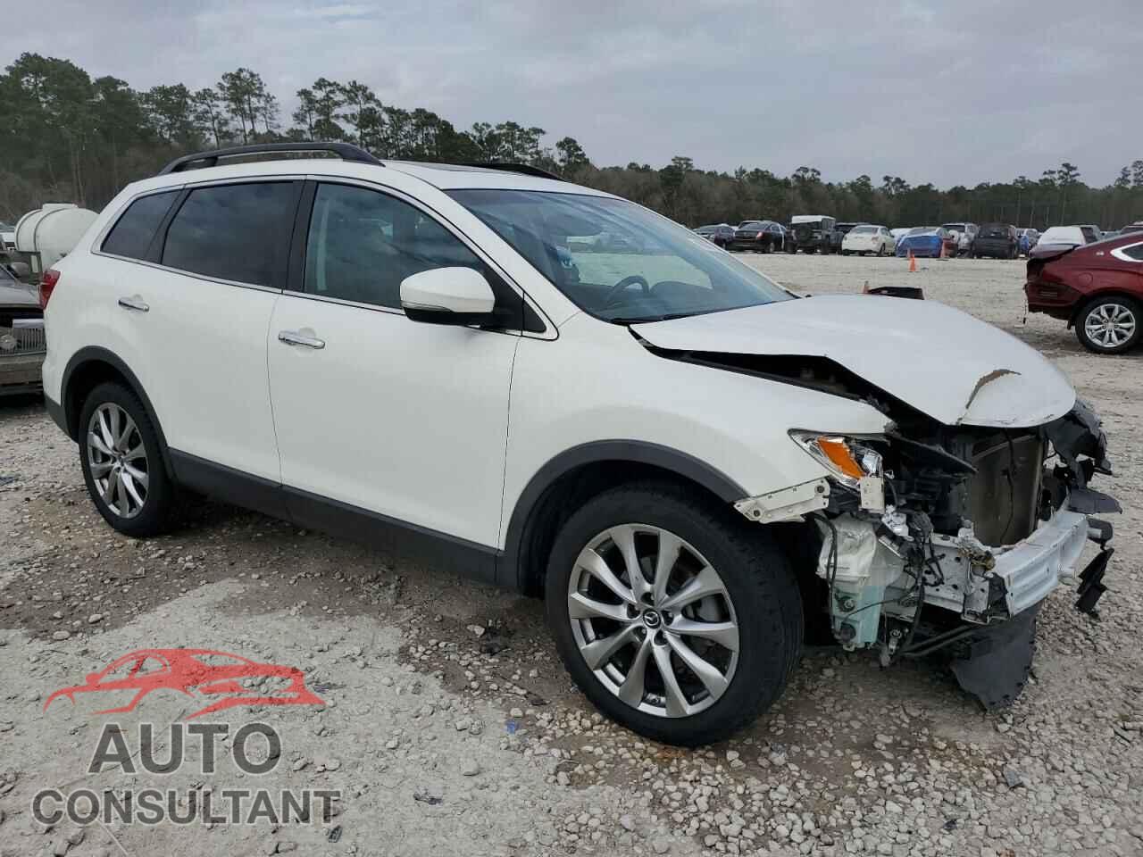 MAZDA CX-9 2014 - JM3TB2DAXE0431434