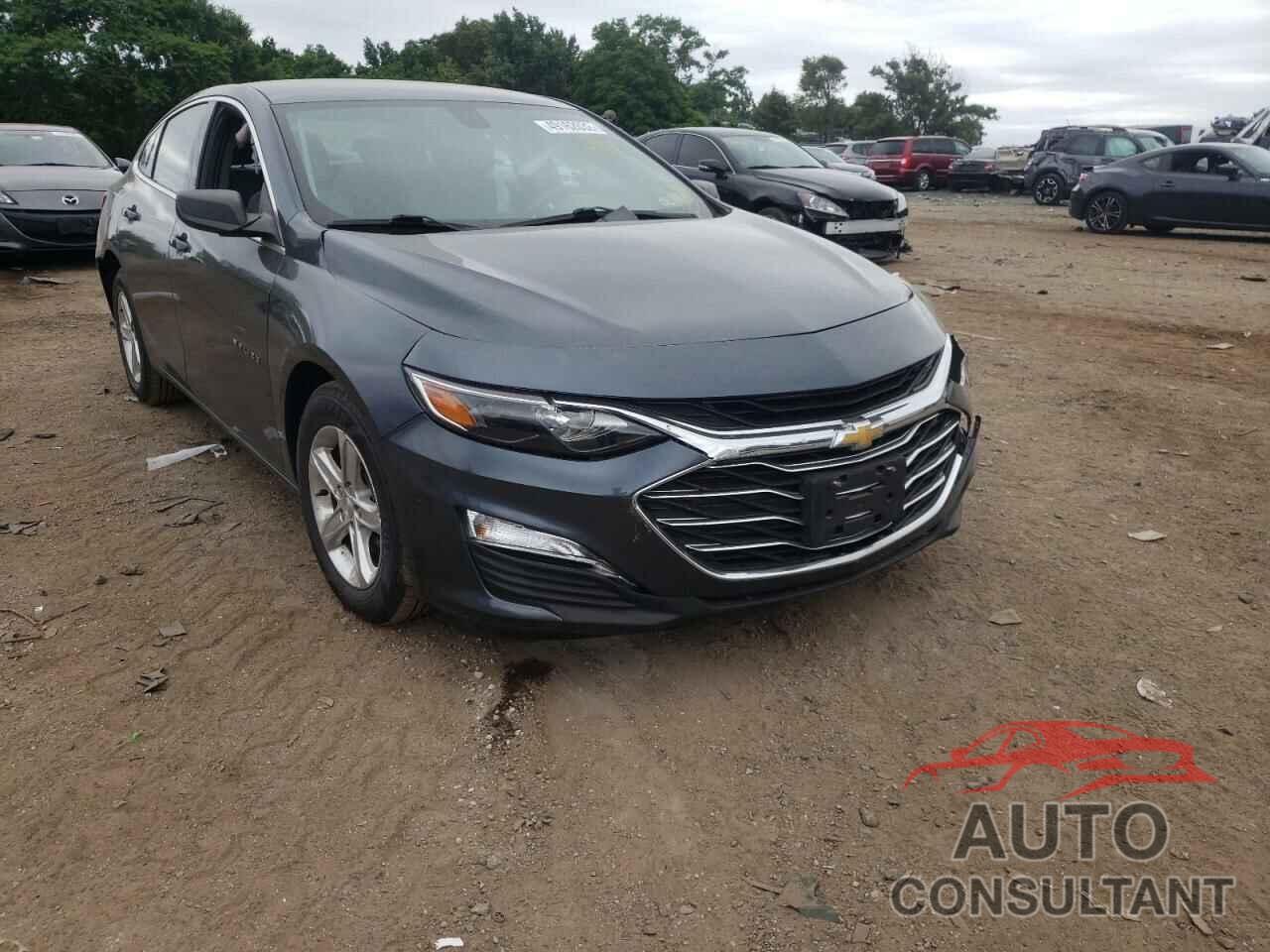 CHEVROLET MALIBU 2019 - 1G1ZB5ST8KF143213