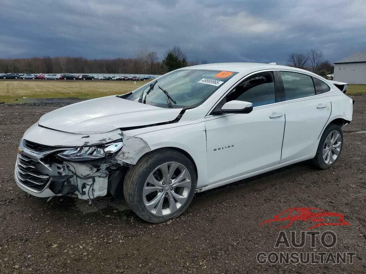 CHEVROLET MALIBU 2019 - 1G1ZE5SX0KF203575
