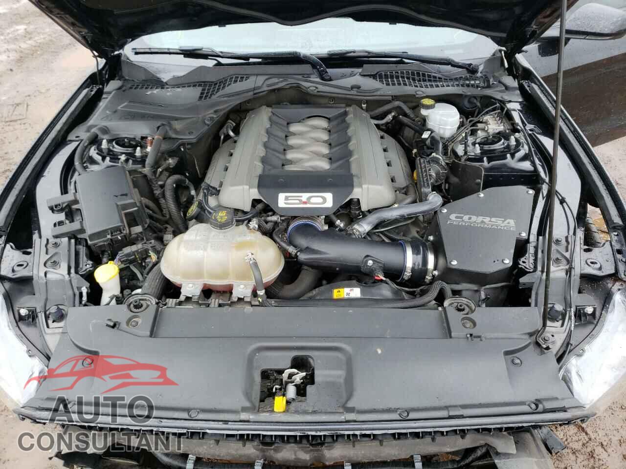 FORD MUSTANG 2017 - 1FA6P8CF6H5343548