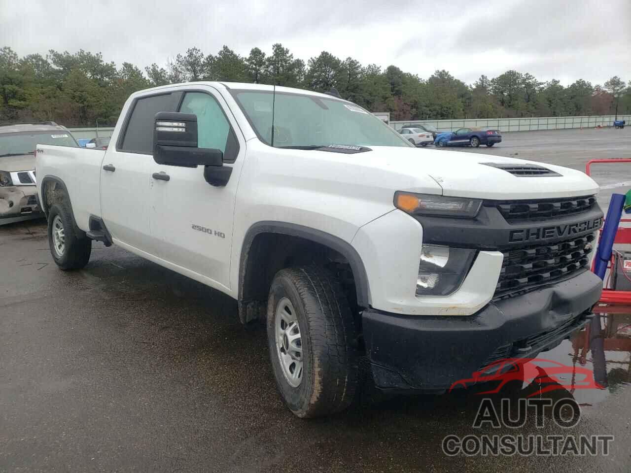 CHEVROLET SILVERADO 2020 - 1GC1YLEY4LF191789