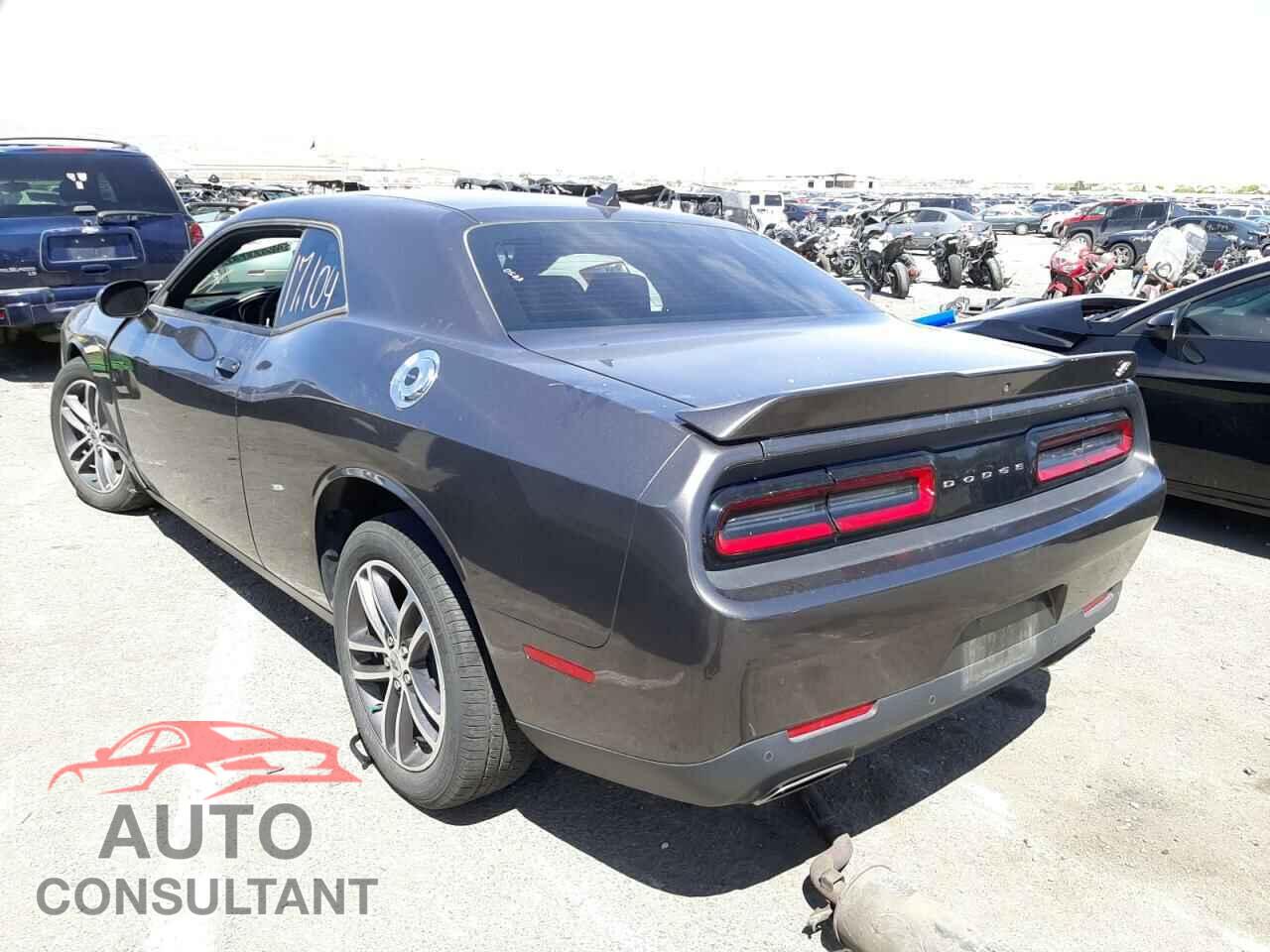 DODGE CHALLENGER 2019 - 2C3CDZGG5KH541671