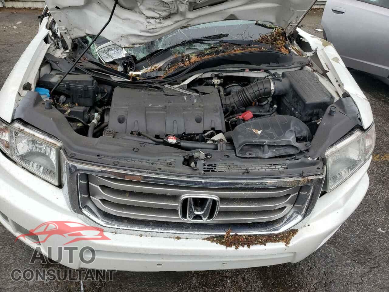 HONDA RIDGELINE 2013 - 5FPYK1F55DB006445