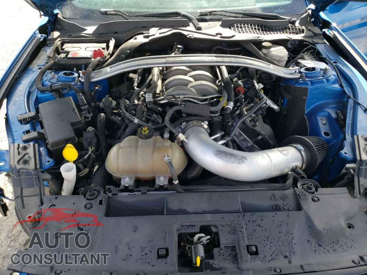 FORD MUSTANG 2019 - 1FA6P8CF7K5134875