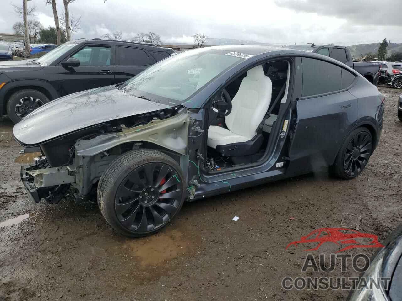 TESLA MODEL Y 2023 - 7SAYGDEF1PF833307