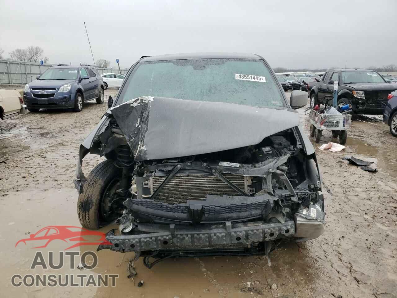 DODGE CARAVAN 2019 - 2C4RDGBG2KR770370