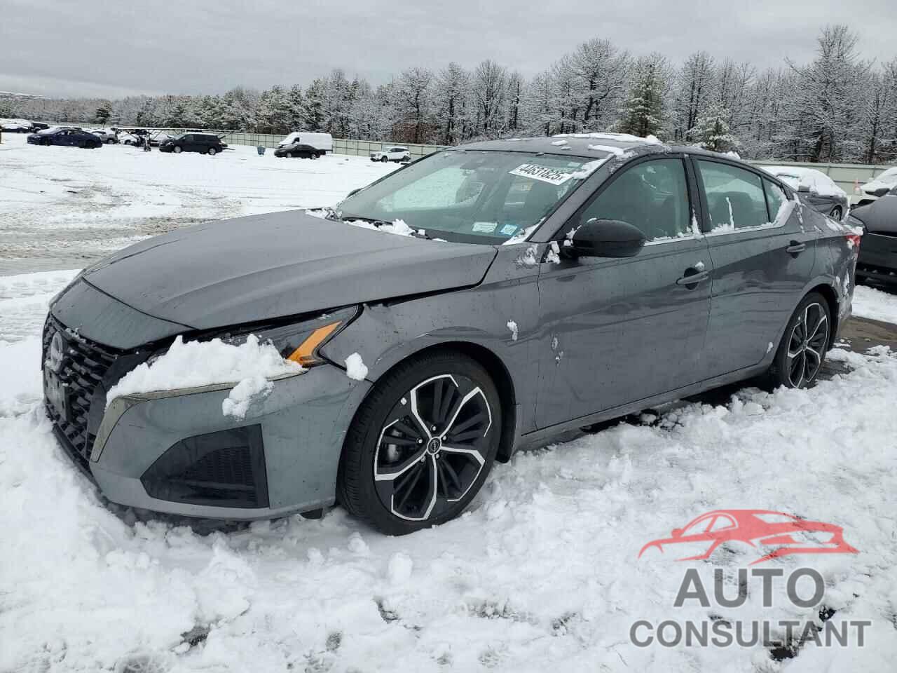 NISSAN ALTIMA 2024 - 1N4BL4CV4RN421949