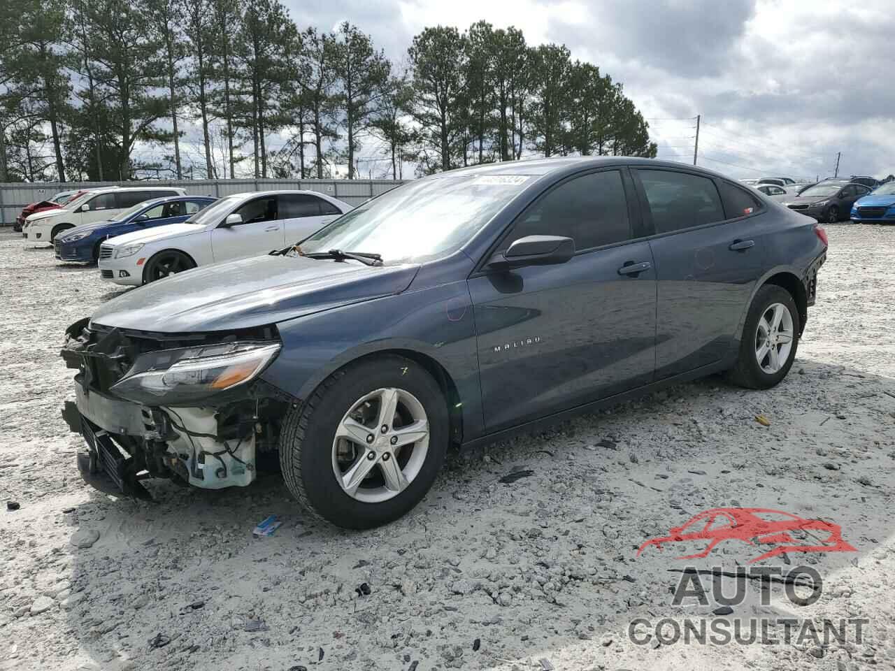 CHEVROLET MALIBU 2019 - 1G1ZB5ST2KF205351