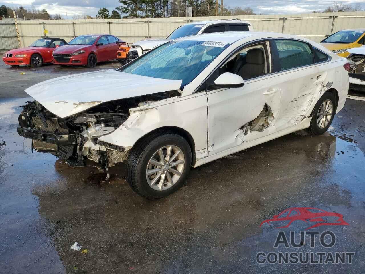 HYUNDAI SONATA 2019 - 5NPE24AF7KH745330