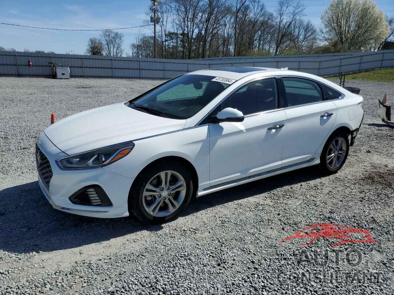 HYUNDAI SONATA 2019 - 5NPE34AF6KH730847