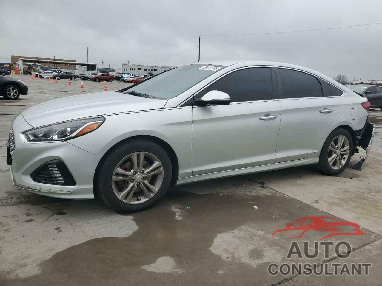 HYUNDAI SONATA 2019 - 5NPE34AF9KH773448