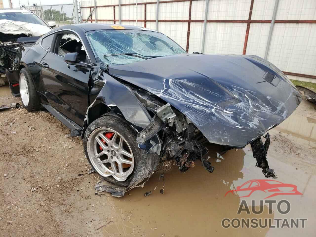 FORD MUSTANG 2019 - 1FA6P8K01K5506837